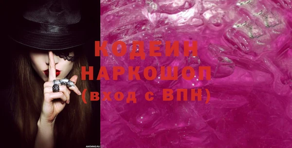 дмт Бородино