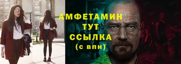 дмт Бородино