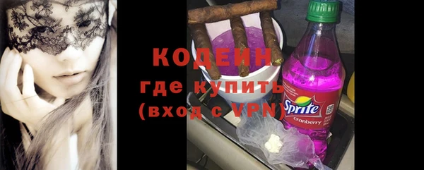 дмт Бородино