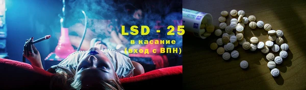 дмт Бородино