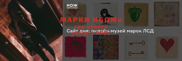 дмт Бородино