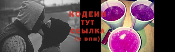 дмт Бородино