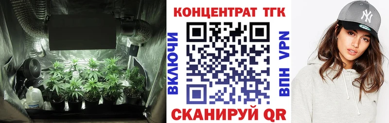 продажа наркотиков  Электросталь  OMG вход  Дистиллят ТГК Wax 